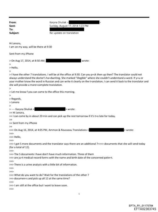 Preview of EFTA02303745