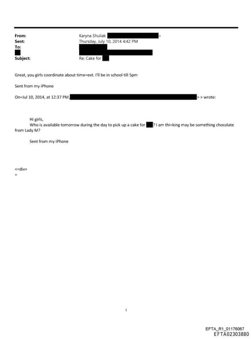 Preview of EFTA02303880