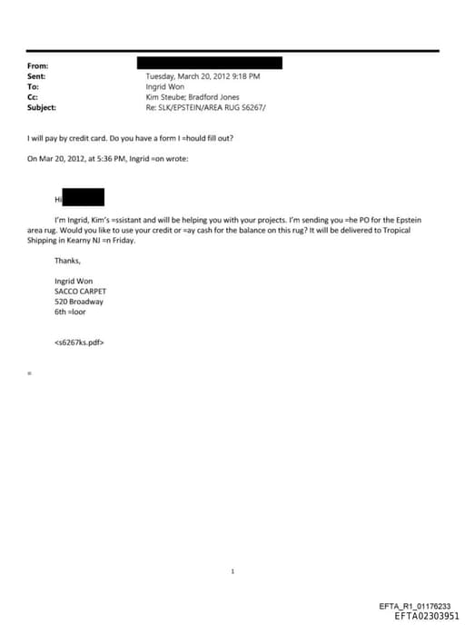 Preview of EFTA02303951