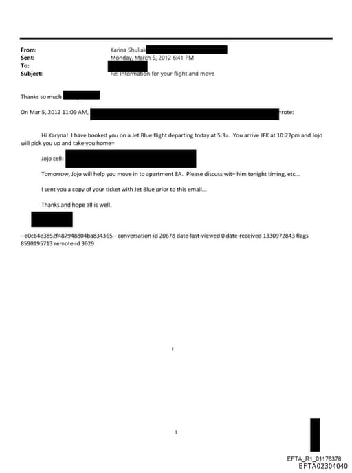 Preview of EFTA02304040