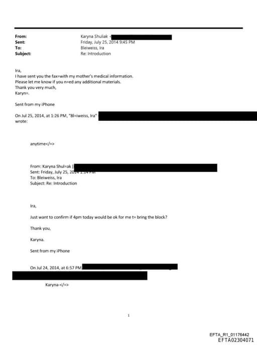 Preview of EFTA02304071