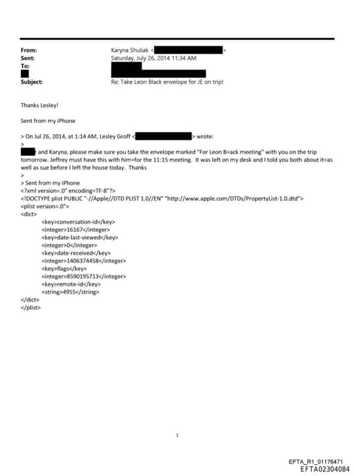 Preview of EFTA02304084