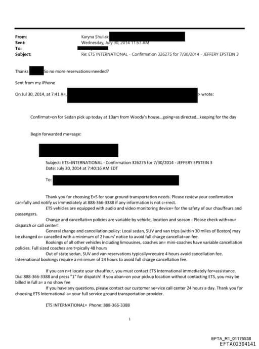 Preview of EFTA02304141