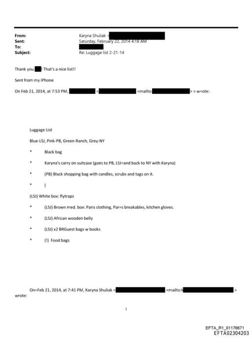 Preview of EFTA02304203