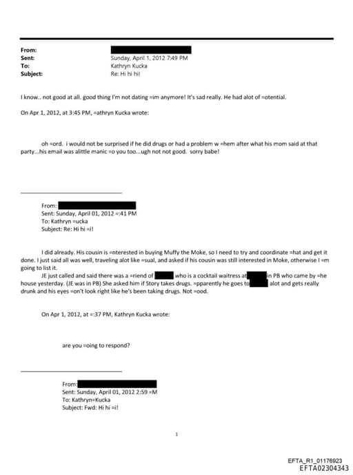 Preview of EFTA02304343