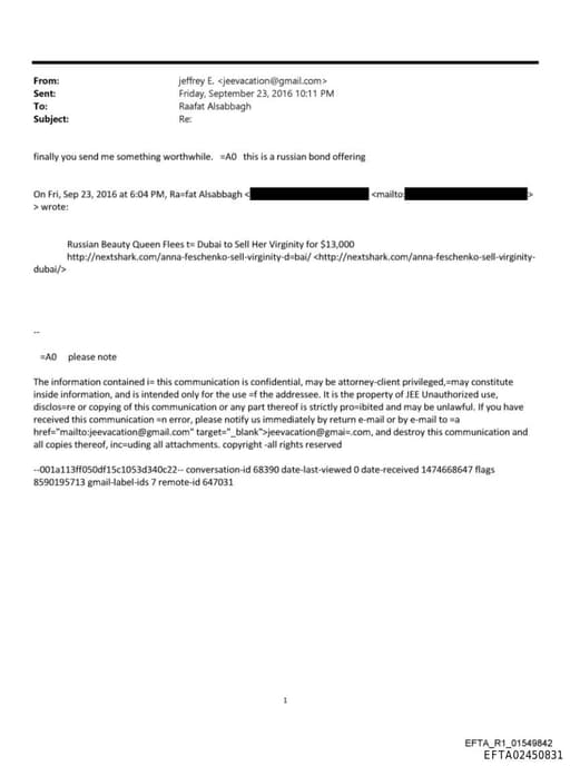 Preview of EFTA02450831