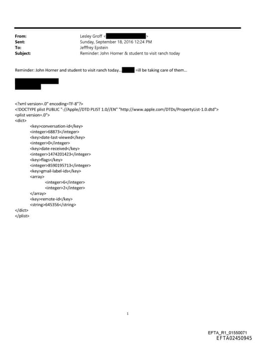 Preview of EFTA02450945