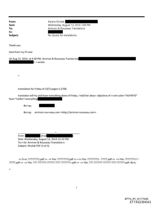 Preview of EFTA02304541