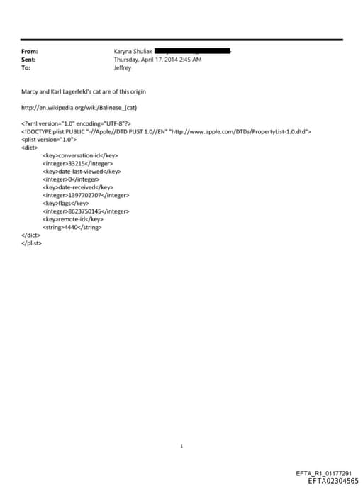 Preview of EFTA02304565