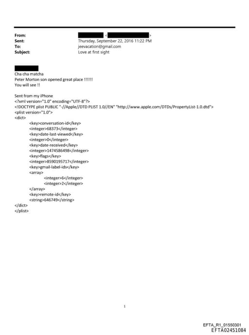 Preview of EFTA02451084