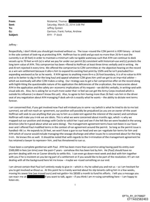 Preview of EFTA02582403