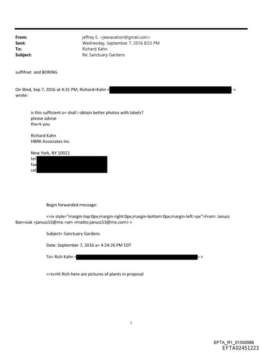 Preview of EFTA02451223