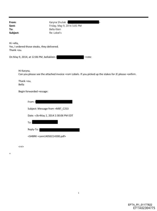 Preview of EFTA02304775