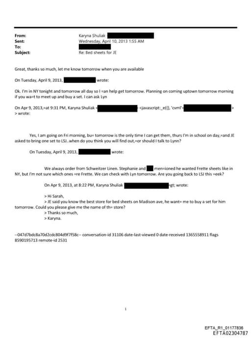 Preview of EFTA02304787