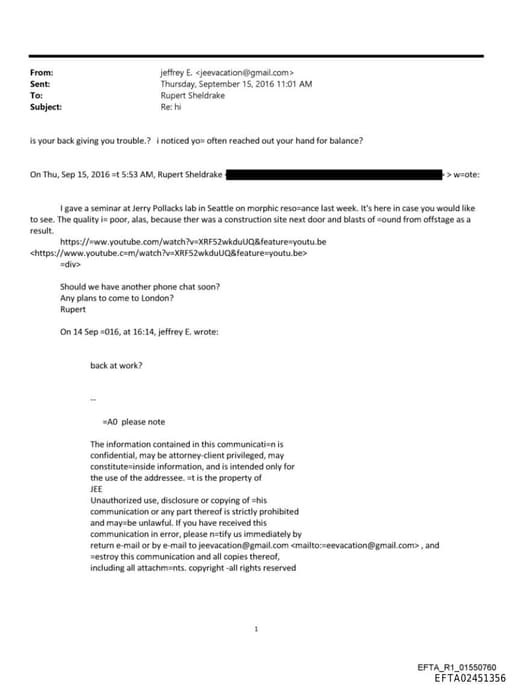 Preview of EFTA02451356