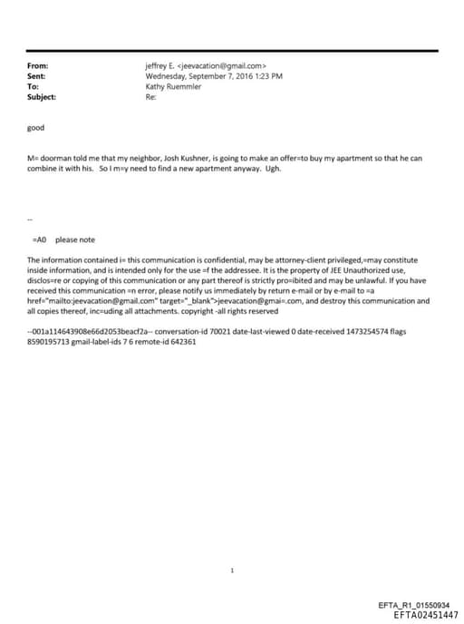 Preview of EFTA02451447