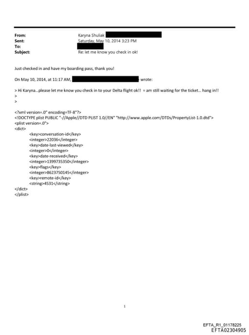 Preview of EFTA02304905