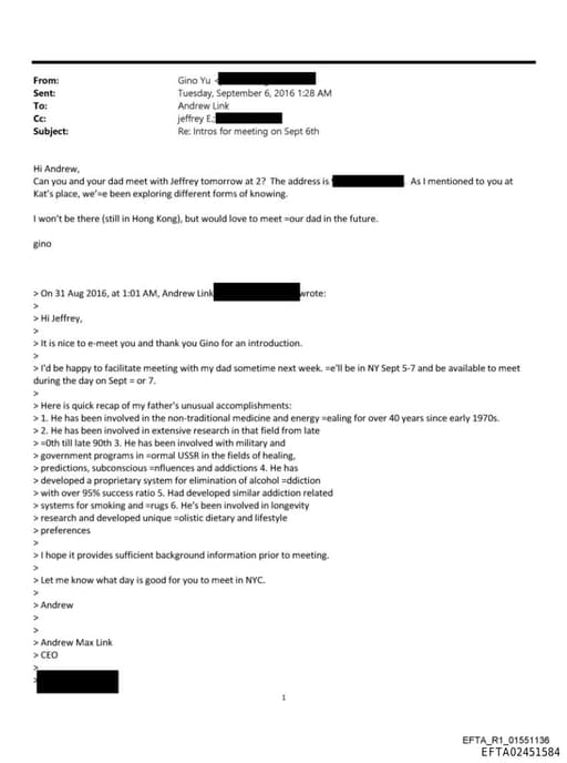 Preview of EFTA02451584