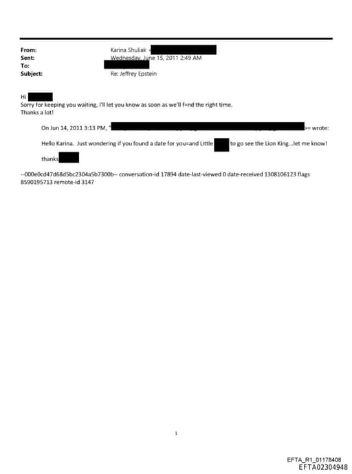 Preview of EFTA02304948