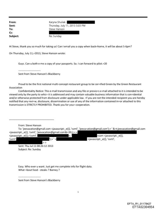 Preview of EFTA02304954