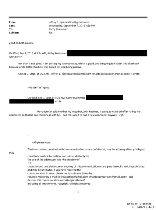 Preview of EFTA02451607