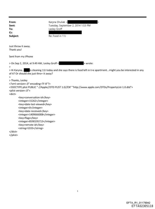 Preview of EFTA02305118