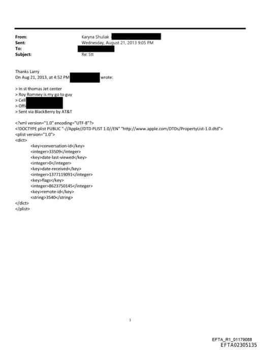 Preview of EFTA02305135