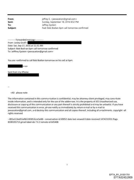 Preview of EFTA02451909