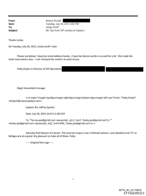 Preview of EFTA02305213