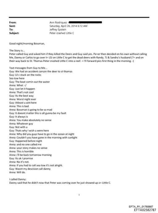 Preview of EFTA02582787