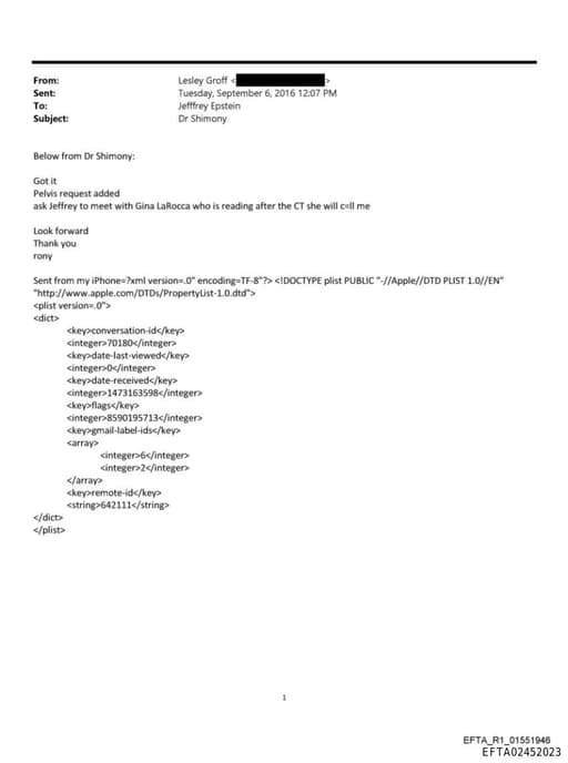 Preview of EFTA02452023