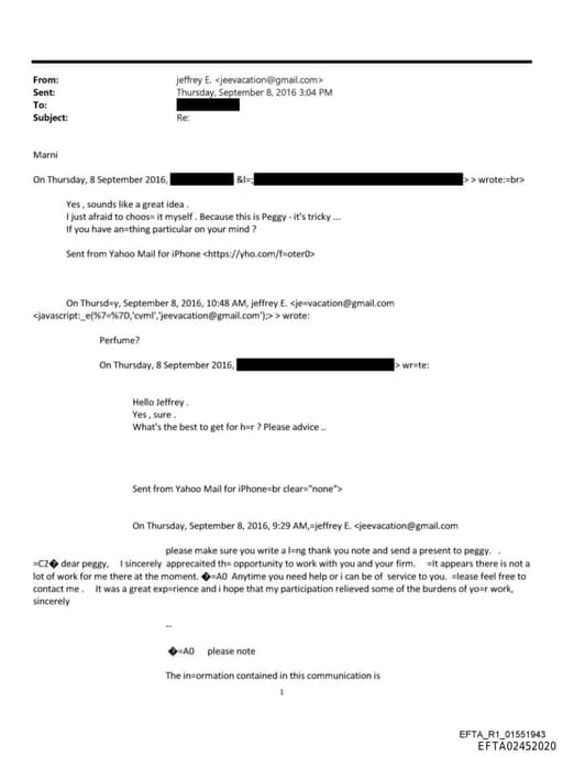 Preview of EFTA02452020