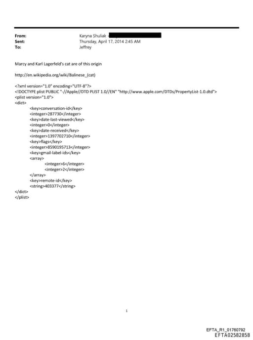 Preview of EFTA02582858