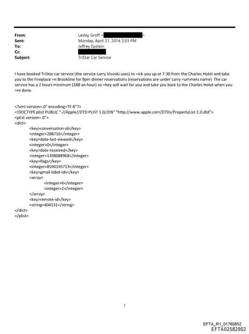 Preview of EFTA02582902