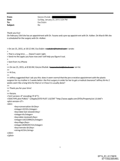 Preview of EFTA02305491