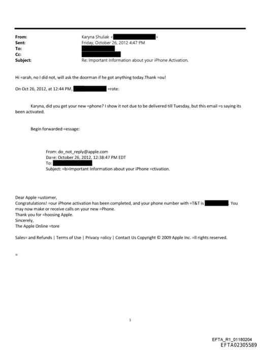 Preview of EFTA02305589