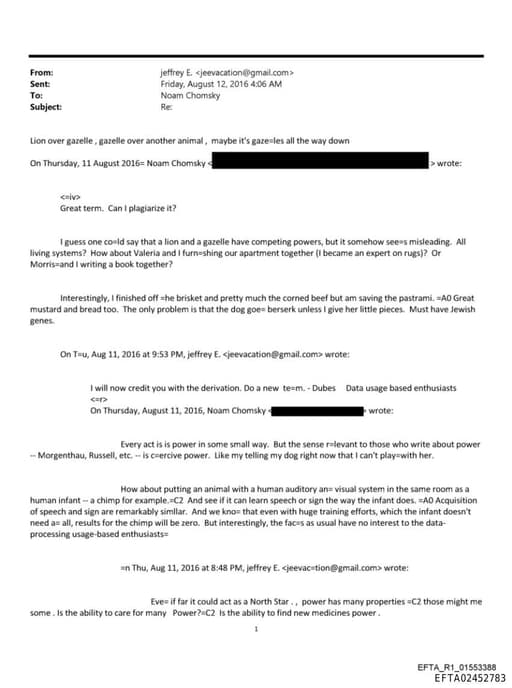 Preview of EFTA02452783