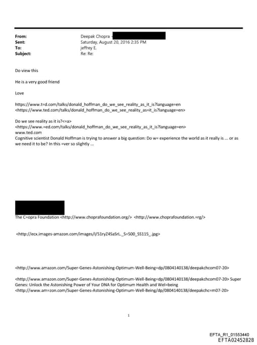 Preview of EFTA02452828