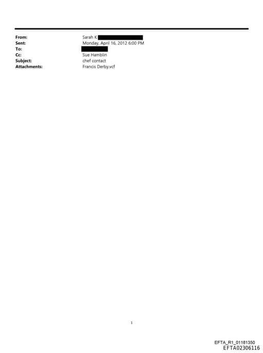 Preview of EFTA02306116