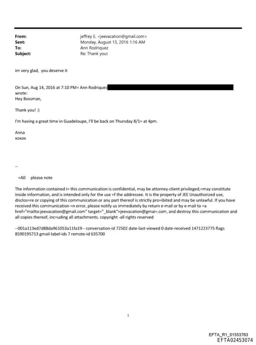 Preview of EFTA02453074