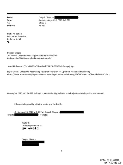 Preview of EFTA02453105