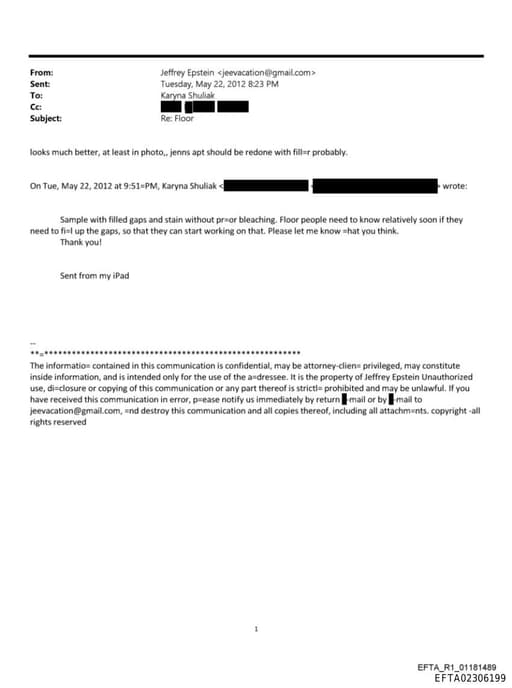 Preview of EFTA02306199