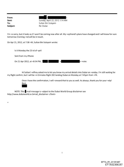 Preview of EFTA02306197