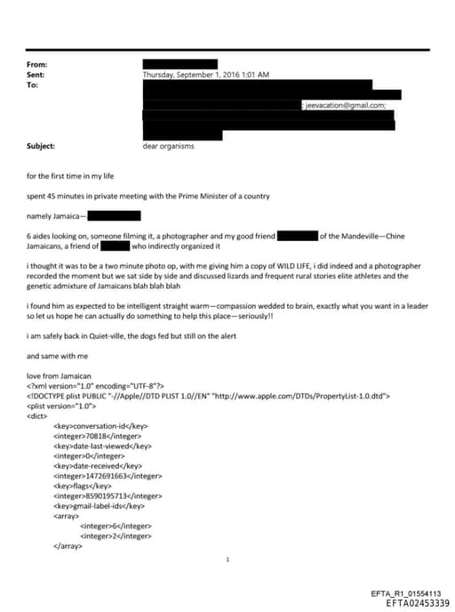 Preview of EFTA02453339