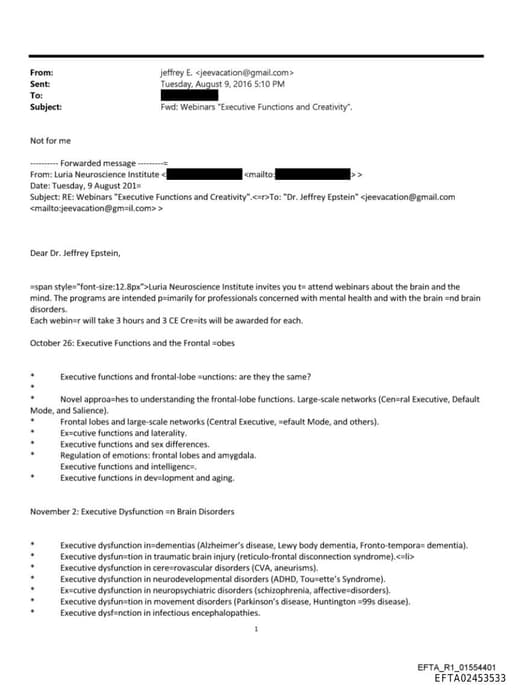 Preview of EFTA02453533