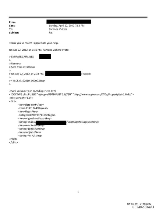 Preview of EFTA02306461