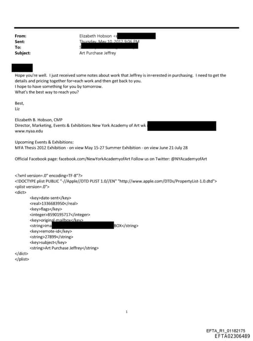 Preview of EFTA02306489