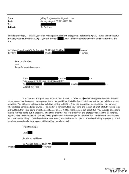 Preview of EFTA02453591