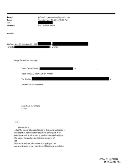 Preview of EFTA02583731