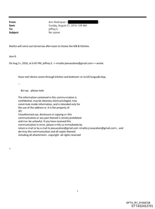 Preview of EFTA02453701